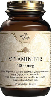 Sky Premium Life Vitamin B12 Συμπλήρωμα διατροφής με Βιταμίνη Β12 & Φολικό Οξύ 60 κάψουλες