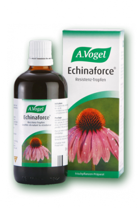 A.Vogel Echinaforce Βάμμα Από Φρέσκια Εχινάκεια Φυτικό Ενισχυτικό Του Ανοσοποιητικού 50ml