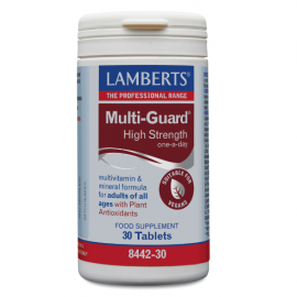 Lamberts Multi Guard High Potency Υψηλής Δραστικότητας Πολυβιταμινούχα Φόρμουλα Βιταμινών & Μετάλλων, 30 tabs