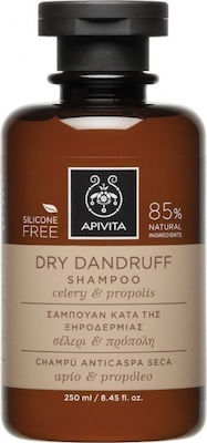 Apivita Dry Dandruff Shampoo with Celery & Propolis Σαμπουάν Κατά της Ξηροδερμίας με Σέλερι και Πρόπολη, 250ml