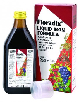 POWER HEALTH Floradix Liquid Iron Formula Πολυβιταμινούχο Σιρόπι με Υγρό Σίδηρο & Βιταμίνες 250ml
