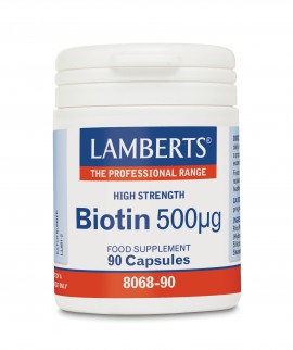 Lamberts Biotin 500mcg Βιοτίνη Βιταμίνες για τα Μαλλιά 90 Κάψουλες
